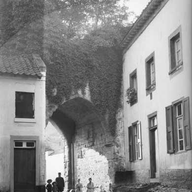 Rijksdienst voor het Cultureel Erfgoed