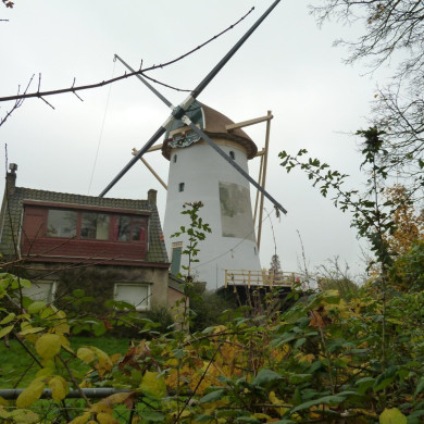 Rijksdienst voor het Cultureel Erfgoed: Bogers, Guido