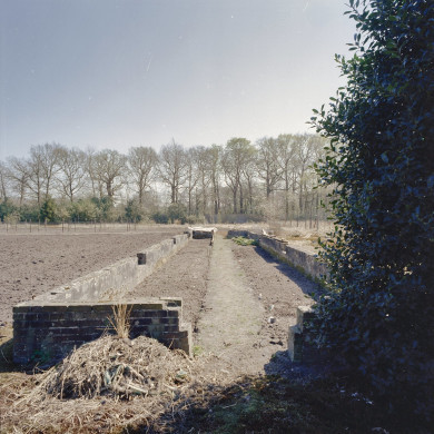 Rijksdienst voor het Cultureel Erfgoed: Heins, IJ.Th.