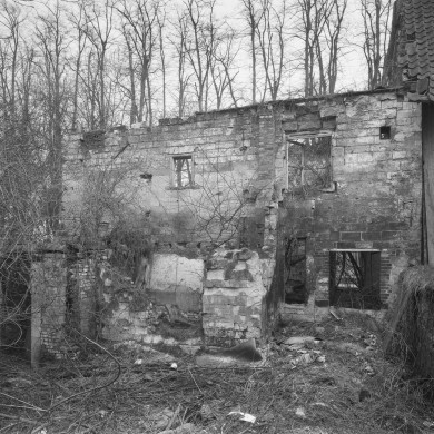 Rijksdienst voor het Cultureel Erfgoed: Delemarre, G.Th.