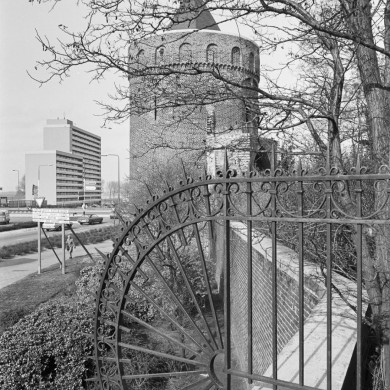 Rijksdienst voor het Cultureel Erfgoed: Tangel, L.M.
