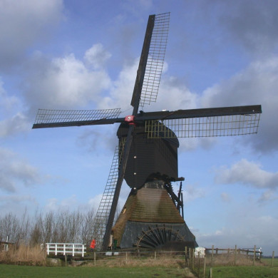 Rijksdienst voor het Cultureel Erfgoed: Terpstra, Frank