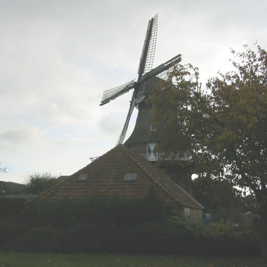 Rijksdienst voor het Cultureel Erfgoed: Terpstra, Frank