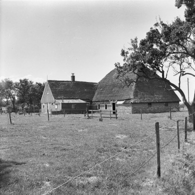 Rijksdienst voor het Cultureel Erfgoed: Bouma, S.J.