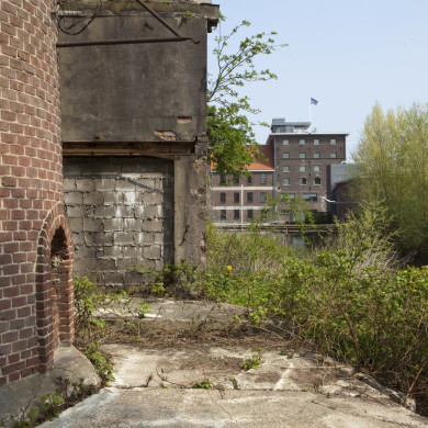 Rijksdienst voor het Cultureel Erfgoed: Roderburg, K. (Kris)