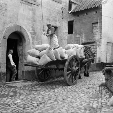 Rijksdienst voor het Cultureel Erfgoed