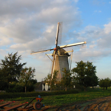 Rijksdienst voor het Cultureel Erfgoed: Terpstra, Frank