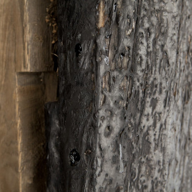 Rijksdienst voor het Cultureel Erfgoed: Roderburg, K. (Kris)