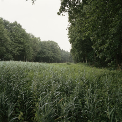 Rijksdienst voor het Cultureel Erfgoed: Roderburg, K. (Kris)