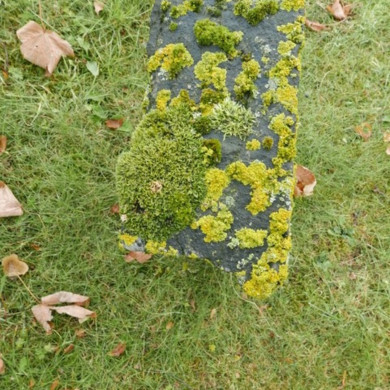 Rijksdienst voor het Cultureel Erfgoed: Dolfin, M. en Erkelens, M.