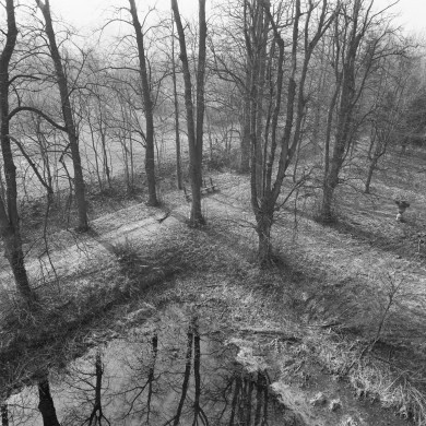 Rijksdienst voor het Cultureel Erfgoed: Wal, A.J. van der