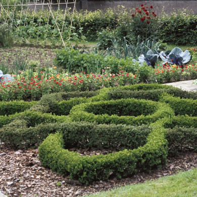 Rijksdienst voor het Cultureel Erfgoed: Heuff M. (Marijke)