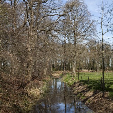 Rijksdienst voor het Cultureel Erfgoed: Sar, Wouter van der