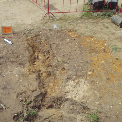 Rijksdienst voor het Cultureel Erfgoed