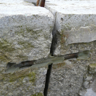 Rijksdienst voor het Cultureel Erfgoed: Bogers, Guido