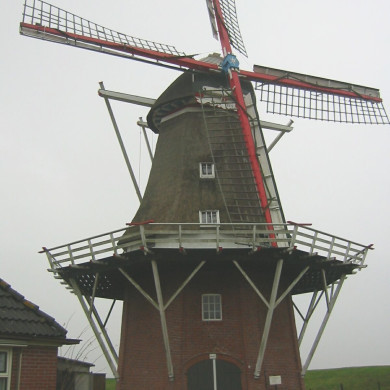 Rijksdienst voor het Cultureel Erfgoed: Terpstra, Frank