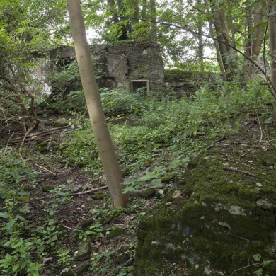 Rijksdienst voor het Cultureel Erfgoed: Booms, C.S. (Chris)