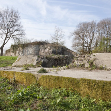 Rijksdienst voor het Cultureel Erfgoed: Booms, C.S. (Chris)-Galen, P. (Paul) van