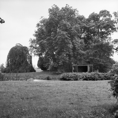 Rijksdienst voor het Cultureel Erfgoed: Wal, A.J. van der