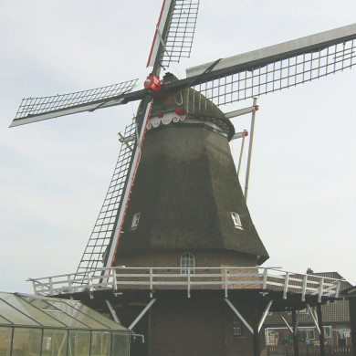 Rijksdienst voor het Cultureel Erfgoed: Terpstra, Frank