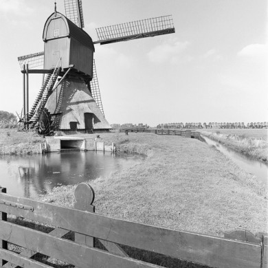Rijksdienst voor het Cultureel Erfgoed: Tangel, L.M.