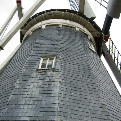 Rijksdienst voor het Cultureel Erfgoed: Terpstra, Frank