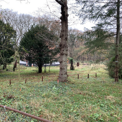 Rijksdienst voor het Cultureel Erfgoed: Bogers, Guido