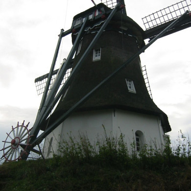 Rijksdienst voor het Cultureel Erfgoed: Terpstra, Frank