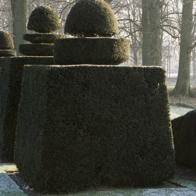 Rijksdienst voor het Cultureel Erfgoed: Heuff M. (Marijke)