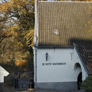 Rijksdienst voor het Cultureel Erfgoed: Jong, Nanette de