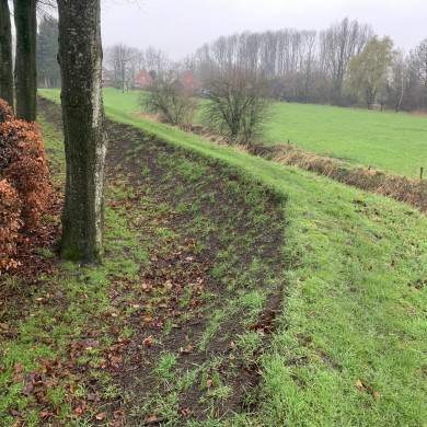 Rijksdienst voor het Cultureel Erfgoed: Bogers, Guido