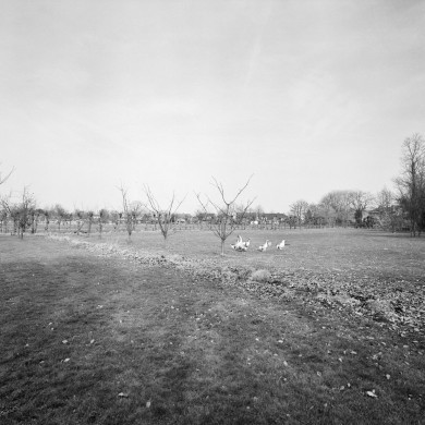 Rijksdienst voor het Cultureel Erfgoed: Dukker, G.J.