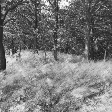 Rijksdienst voor het Cultureel Erfgoed: Galen, P. (Paul) van