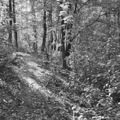 Rijksdienst voor het Cultureel Erfgoed: Galen, P. (Paul) van