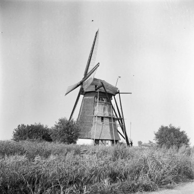 Rijksdienst voor het Cultureel Erfgoed: Bicker Caarten, A.