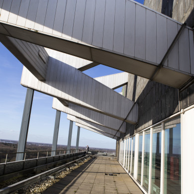 Rijksdienst voor het Cultureel Erfgoed: Steen, Monique van der