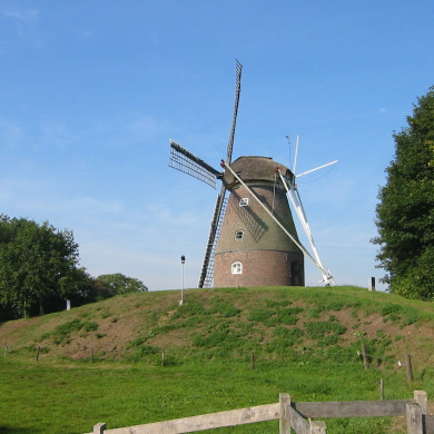 Rijksdienst voor het Cultureel Erfgoed: Terpstra, Frank