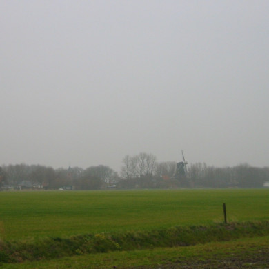 Rijksdienst voor het Cultureel Erfgoed: Terpstra, Frank