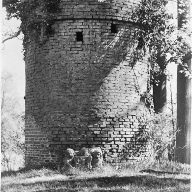 Rijksdienst voor het Cultureel Erfgoed: Schollen, A.H.C.