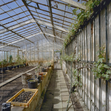 Rijksdienst voor het Cultureel Erfgoed: Heins, IJ.Th.