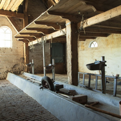 Rijksdienst voor het Cultureel Erfgoed: Jong, Nanette de