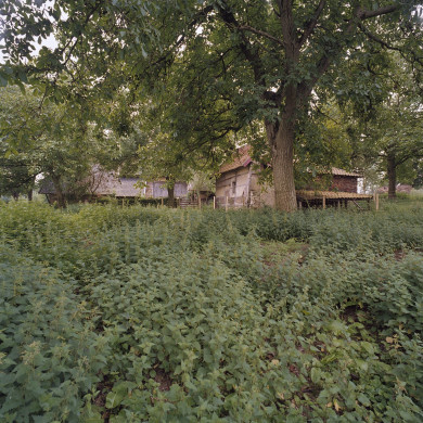 Rijksdienst voor het Cultureel Erfgoed: Heins, IJ.Th.