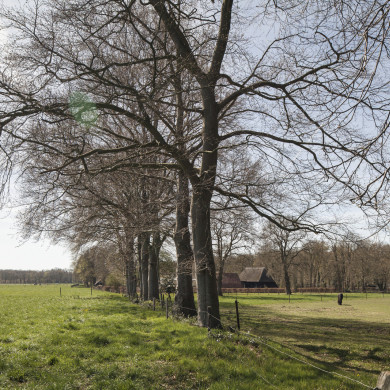 Rijksdienst voor het Cultureel Erfgoed: Sar, Wouter van der