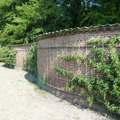 Rijksdienst voor het Cultureel Erfgoed: Bogers, Guido