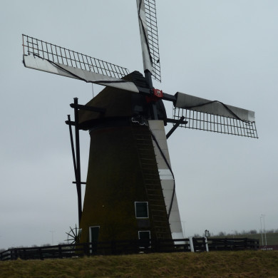 Rijksdienst voor het Cultureel Erfgoed: Bogers, Guido
