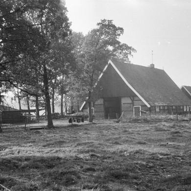 Rijksdienst voor het Cultureel Erfgoed: Schellekens, P.C.