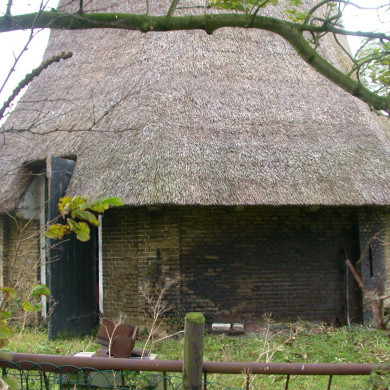 Rijksdienst voor het Cultureel Erfgoed: Terpstra, Frank