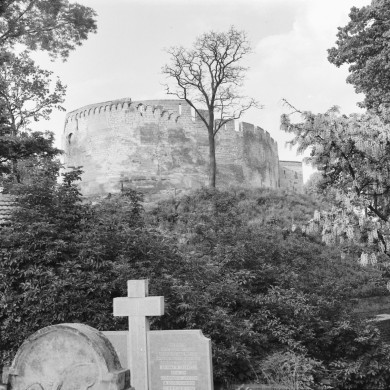 Rijksdienst voor het Cultureel Erfgoed: Delemarre, G.Th.