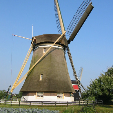 Rijksdienst voor het Cultureel Erfgoed: Terpstra, Frank