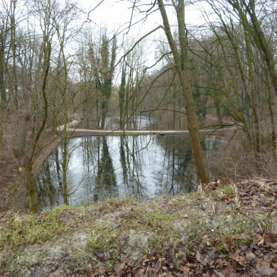 Rijksdienst voor het Cultureel Erfgoed: Lensvelt, Natascha